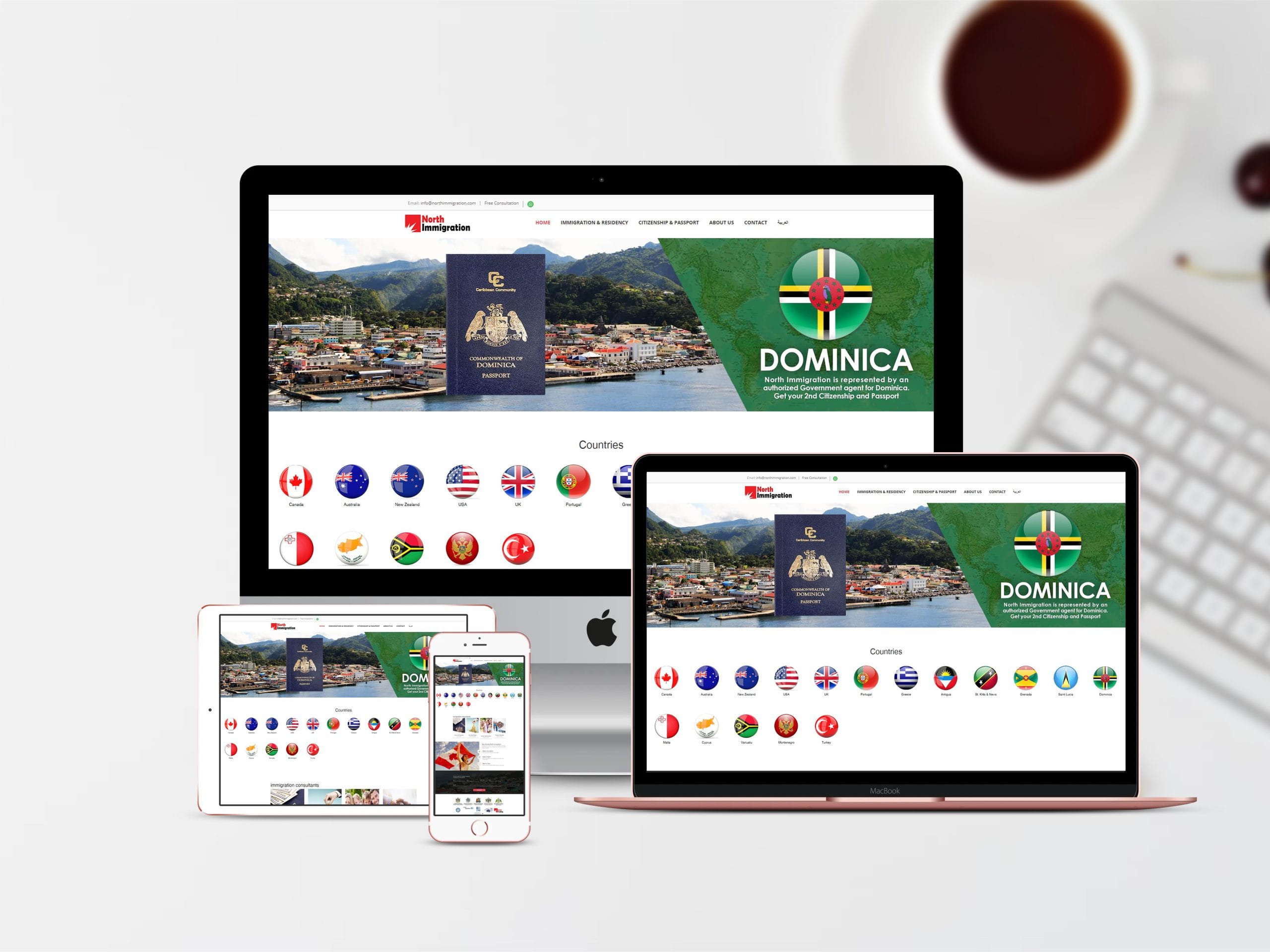 North Immigration Website